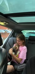 Girl Cries Happy Tears Meeting Her New Puppy