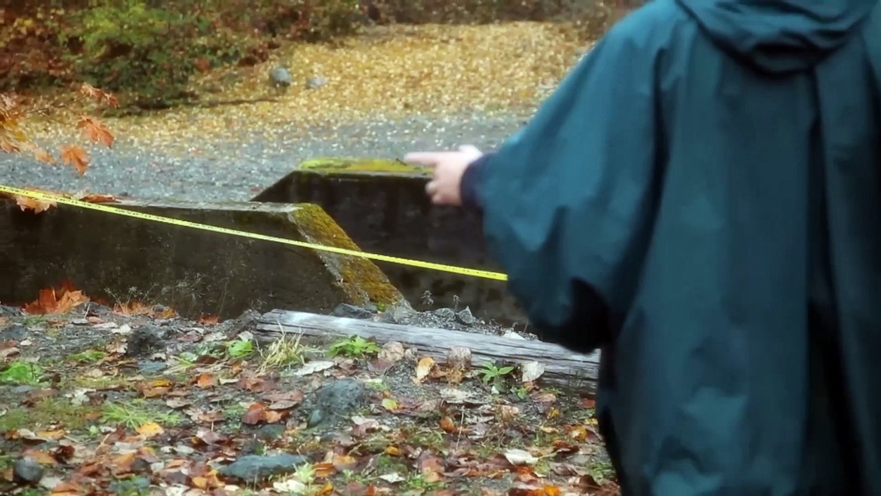 Meurtre Au Fleuve Mississippi  Les Eaux Troubles Du Crime  True Crime Stories