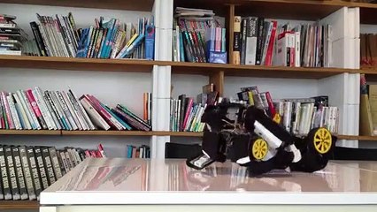 My childhood dreams have finally come true