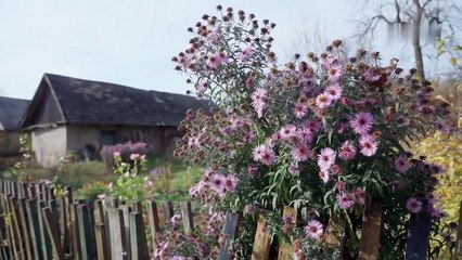 Дакументальны фільм «Гаворкі Беларусі». Як гаворыць краіна