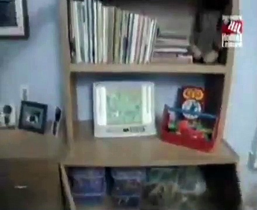 The New Yankee Workshop - Se6 - Ep07 HD Watch