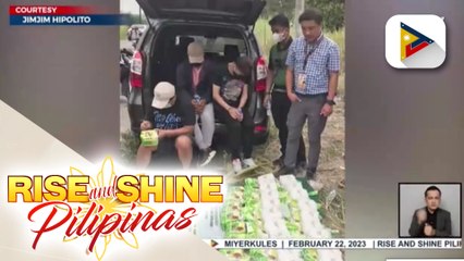 P200-M halaga ng umano'y shabu, nasabat sa Pampanga; Chinese national at Pilipinong kasama nito, arestado