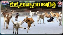 Street Dogs Attack On 4 Year Old Boy Create Panic In Hyderabad _ V6 Teenmaar