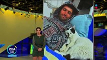 Gato no deja al hombre que lo salvó en Turquía