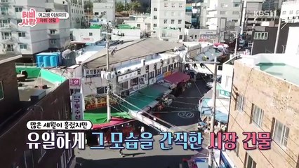 Love On The Air - Se01 - Ep21 Watch HD