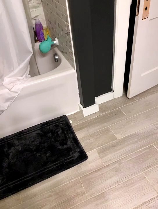 Declan Loves To Shower With Clothes On video Dailymotion