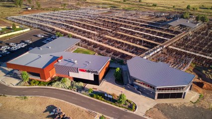 Bindango, Roma, Qld - February 22, 2023 - Farmonline