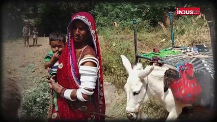 Pasmanda Muslim: नट बिरादरी के साथ सामाजिक भेदभाव और नाइंसाफी 🤝