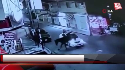 Meksika’da atıyla otomobile çarpıp kaçtı