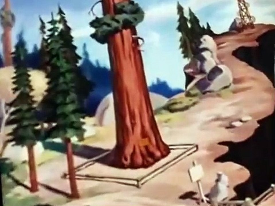 Donald Duck Donald Duck E098 Old Sequoia