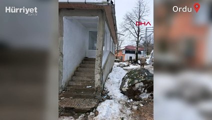 Ordu'da yamaçtan kopan kaya, evin duvarını yıktı