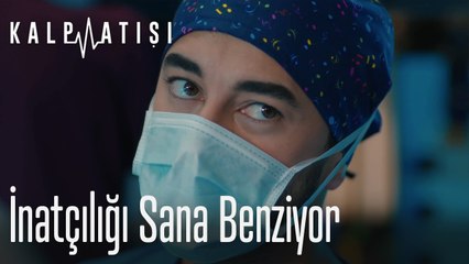 İnatçılığı sana benziyor - Kalp Atışı