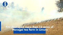 Fire destroyed more than 15 acres of Menegai tea farm in Limuru