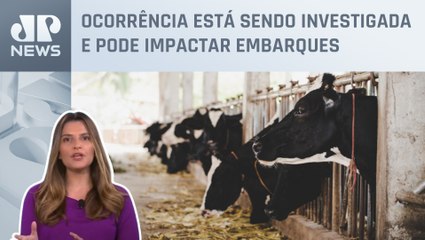 Kellen Severo: Suspeita de caso atípico de vaca louca pode suspender exportação temporariamente