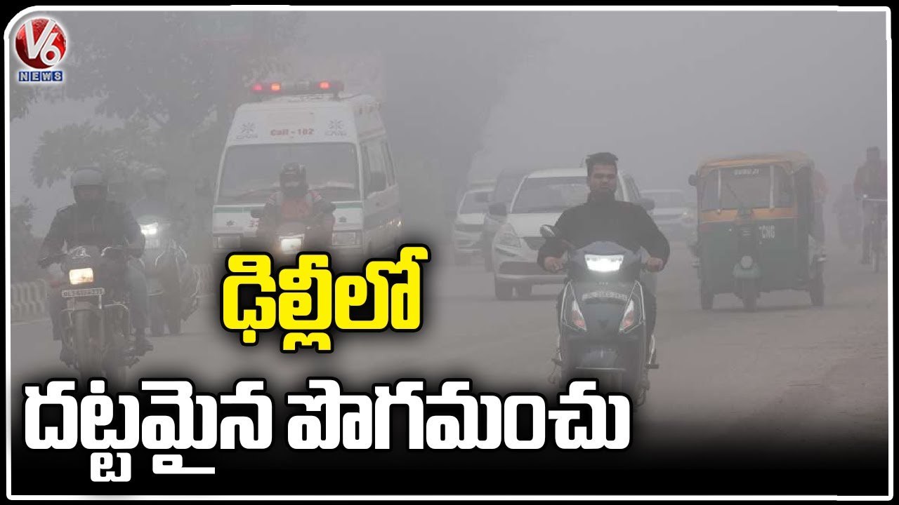 Low Temperature Levels Record In Delhi , Public Face Problems With Fog |  V6 News