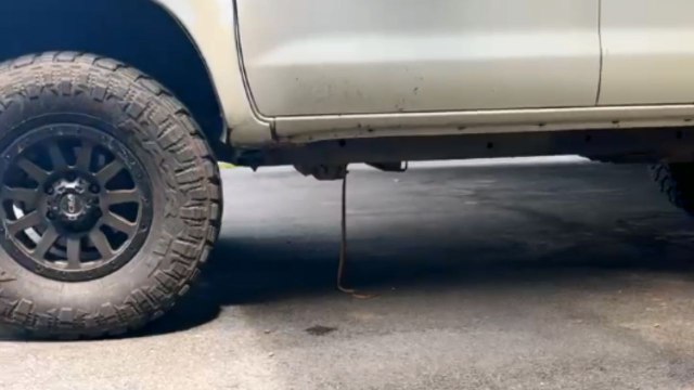 Frightful snake make its way and hides in a car when a couple try to get it away from them
