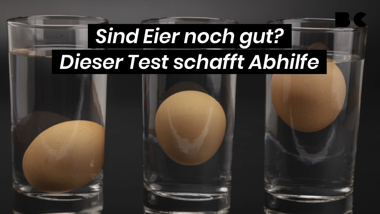 Sind Eier noch gut? Dieser Test schafft Abhilfe