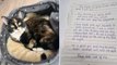 Un chat a été abandonné dans un refuge avec une lettre déchirante écrite par son ancienne maîtresse