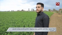 بيرسم بالشاي والفحم.. أسامة فنان تشكيلي من كفر الشيخ يحلم بالعالمية