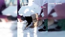 Kafası bidona sıkışan köpeği kadınlar kurtardı