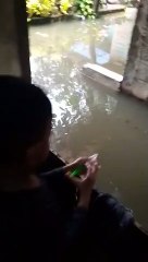 Banjir