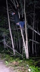 Tree Swinging Fail
