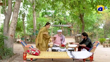 Qalandar Ep 39        Muneeb Butt   Komal Meer   Ali Abbas   Hiba Aziz