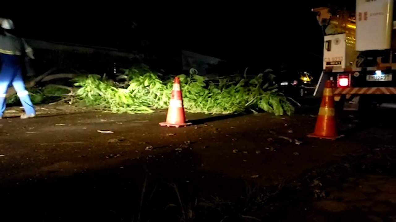 Galho de árvore cai, derruba poste e deixa moradores sem energia no Universitário