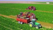 فيلم عن مشروع مستقبل مصر للإنتاج الزراعي