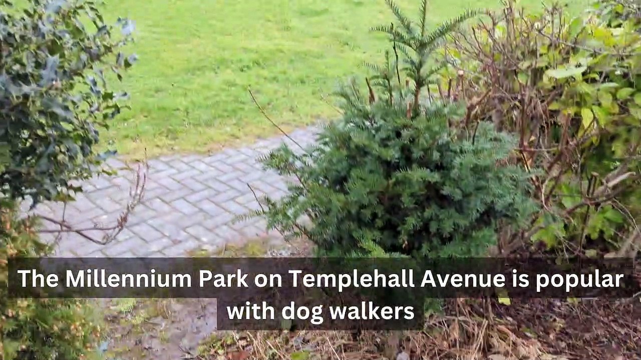 Millennium Park Templehall