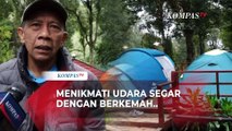 Cocok Buat Healing! Menikmati Kebun Kopi Sambil Berkemah di Bandung