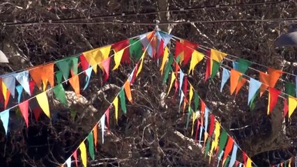 Απόκριες στο Καρπενήσι