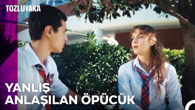 Bir anlık hevesle öpmüştüm seni -Tozluyaka