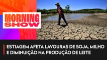 414 municípios do RS decretam estado emergência por falta de chuvas