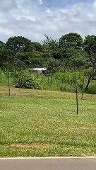 Invasores montam barracos em área pública na quadra 26 do Park Way