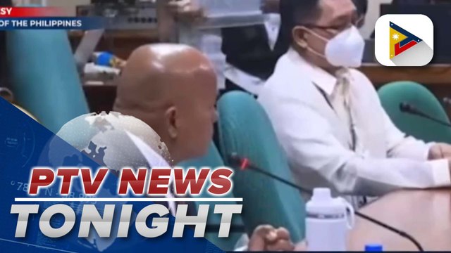 Senators, members of European parliament discuss state of human rights in PH