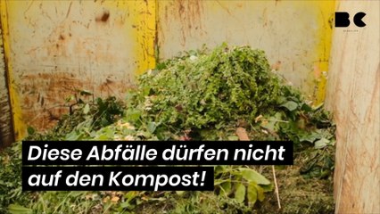 Diese Abfälle dürfen nicht auf den Kompost!