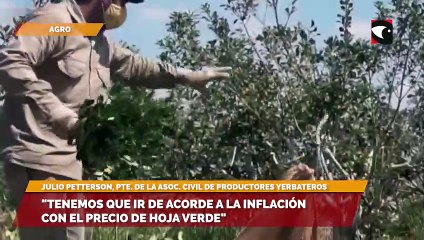 Tenemos que ir de acorde a la inflación con el precio de hoja verde