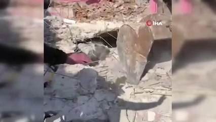 Depremin 17. gününde enkaz altından bir inek canlı çıkarıldı