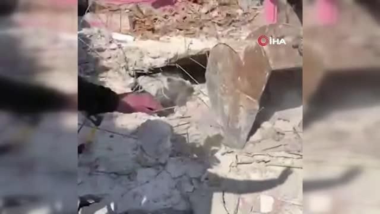Depremin 17. gününde enkaz altından bir inek canlı çıkarıldı