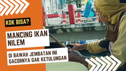 Mancing Ikan Nilem Di Bawah Jembatan Ini Gacornya Gak Ketulungan