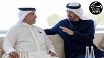 UAE President meets Bahrain's Crown Prince