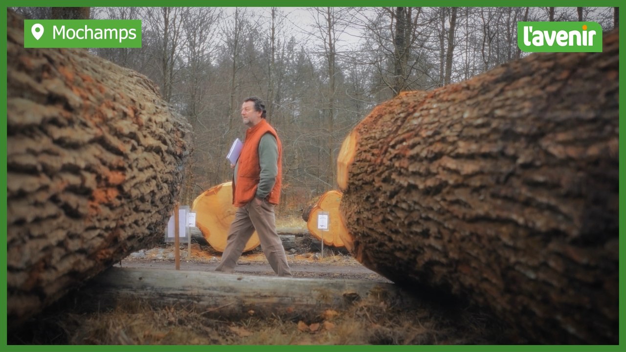 Parc à grumes de Wallonie : on continue