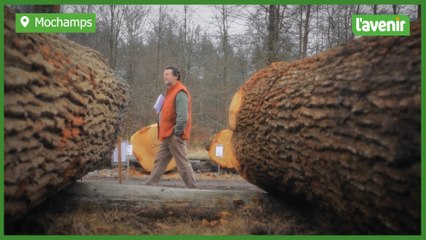 Parc à grumes de Wallonie : on continue