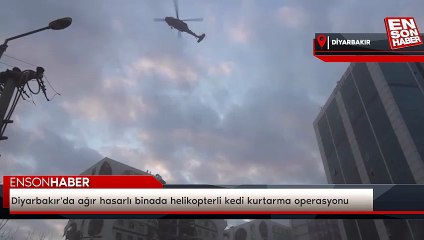 Diyarbakır'da ağır hasarlı binada helikopterli kedi kurtarma operasyonu
