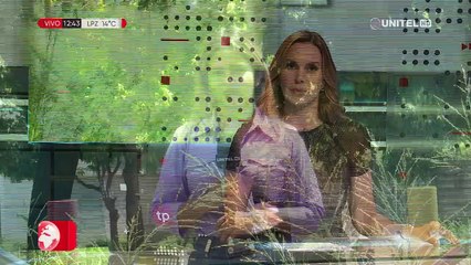 Parques con maleza hasta la cintura a un mes de declararse emergencia por el dengue en Santa Cruz