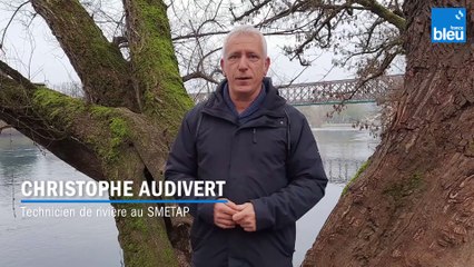 Au fil de l'eau - La ripisylve, un corridor de végétation au bord des berges