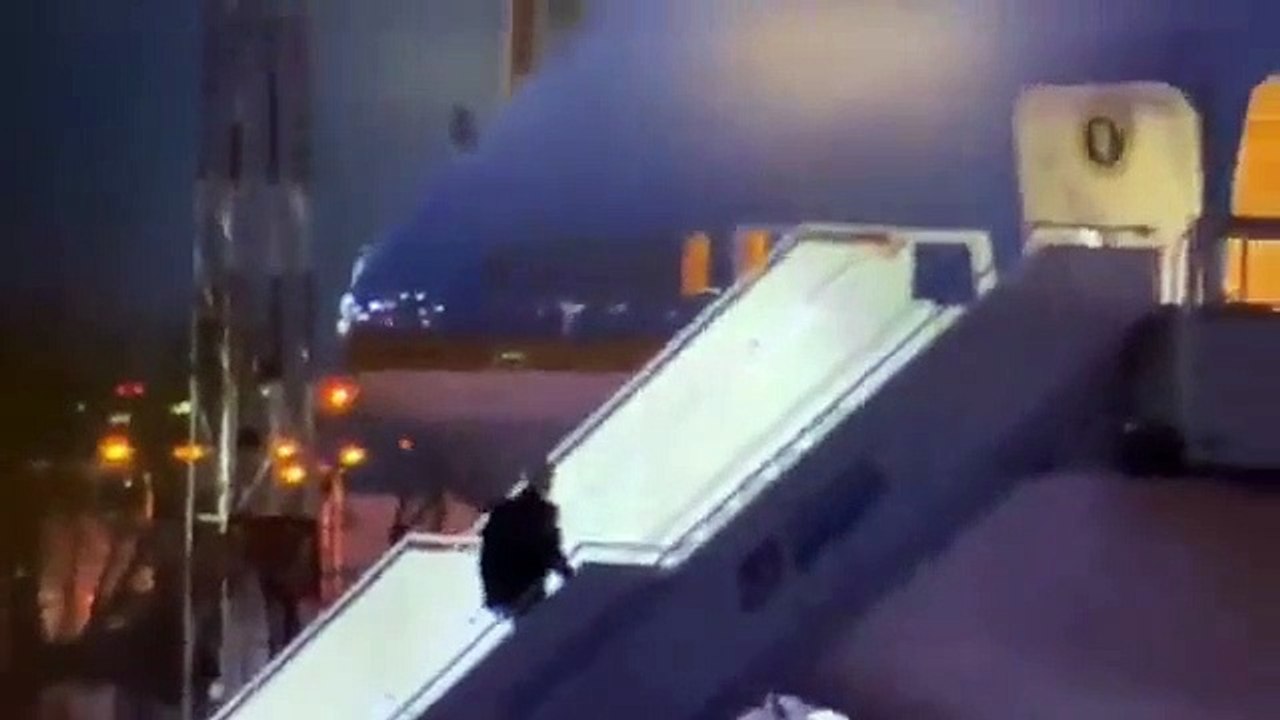 Joe Biden falls up the stairs of Air Force One