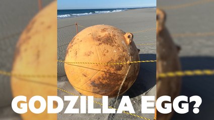 Mysterious metal sphere washes up on Japanese beach