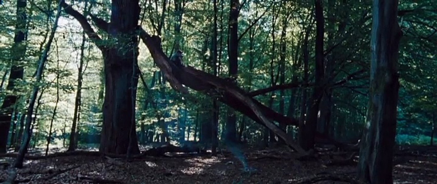 Lauf Junge lauf (2013)